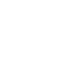 Icon Euro