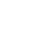 Icon prize