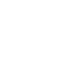 Icon Schild