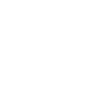 Icon Real Estate